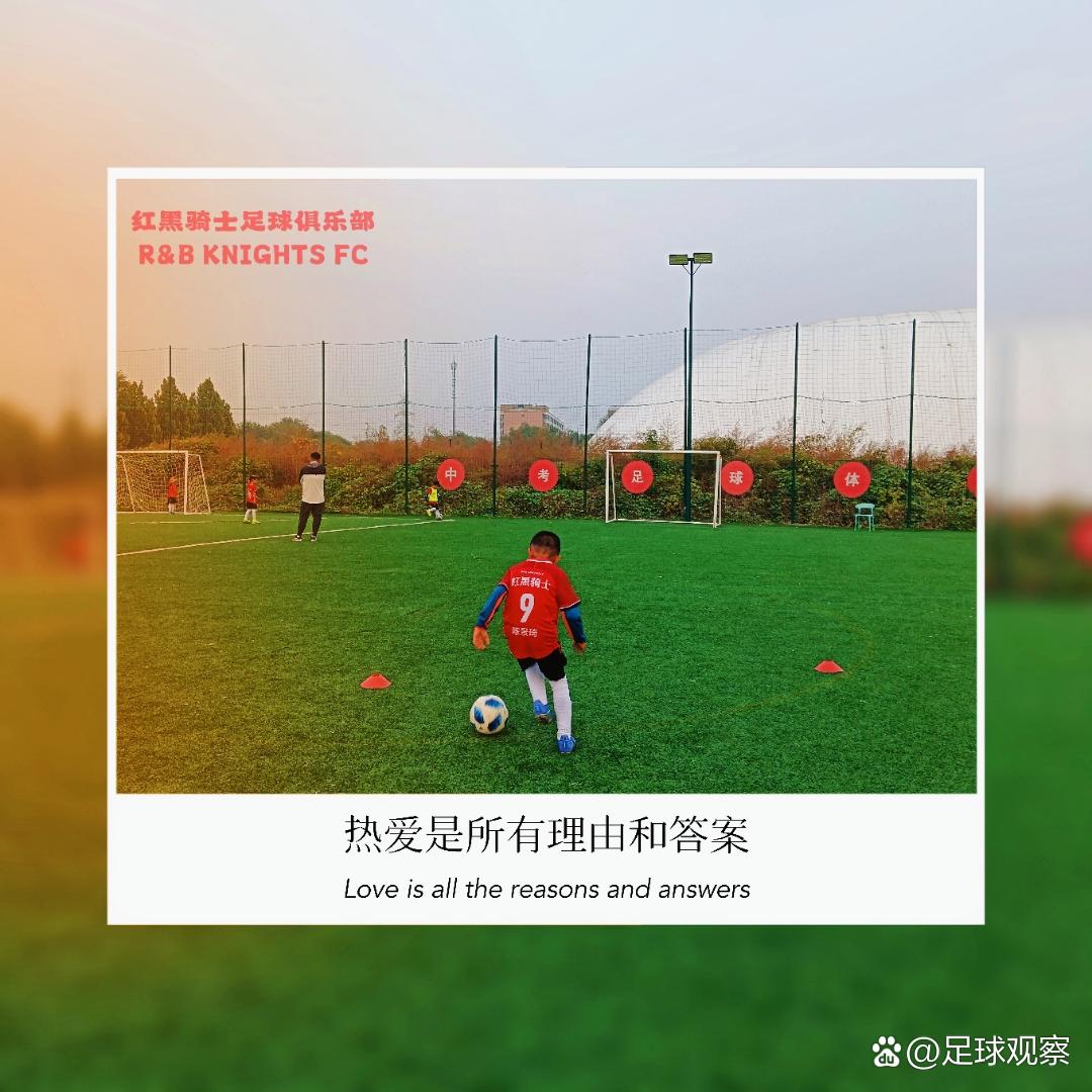 开云体育登录-温馨故事渐成足球象征，体育团队显团结之美的简单介绍