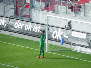 开云体育入口-波鸿客场逆袭！绝杀汉堡，豪取胜利！，波鸿集团有限公司